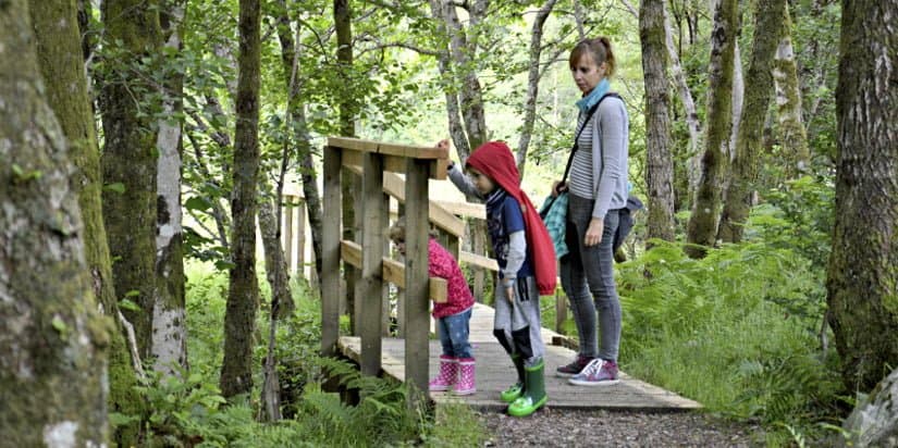 Montessori: ¿Cómo encaja el adulto preparado en el rol de madre?